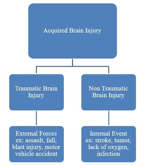 Brain Injury Facts Figures Brain Injury Alliance Of