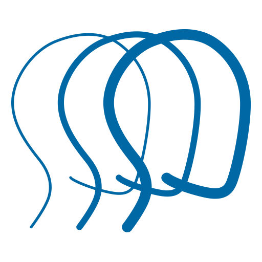 Brain Injury Association of Colorado - Favicon - 3 line drawn outlines of a human head