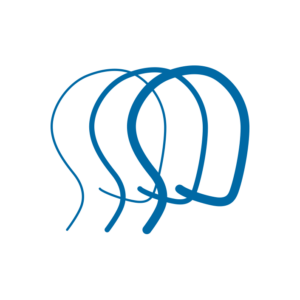 BIACO-fav-placeholder BIAC Logo Icon